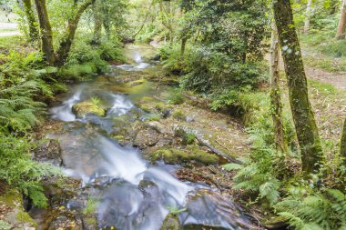 Armenteira Nehri akan su