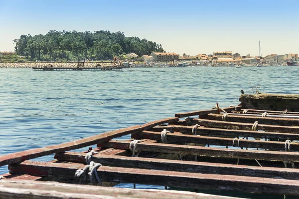 Aquaculture rafts in Arousa Island — Stock Photo, Image