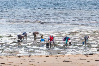 Deniz tarağı balıkçılar Sinas Beach