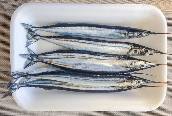 Atlantic saury fisk — Stockfoto