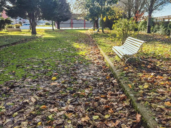 Лавка в автономному парку — стокове фото