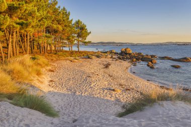 Barbafeita plaj Arousa Adası