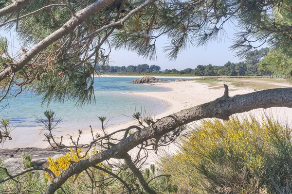 Salinas beach na wyspie Arousa — Zdjęcie stockowe