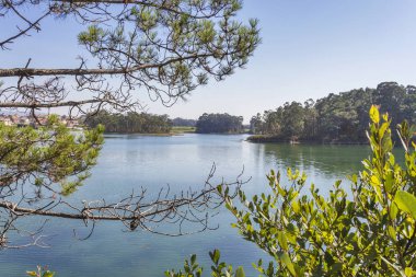 Estuary in Vilanova de Arousa