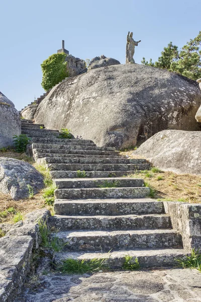 Con Forno bakış açısı