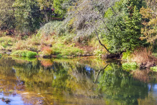 Refleksje nad rzeką — Zdjęcie stockowe