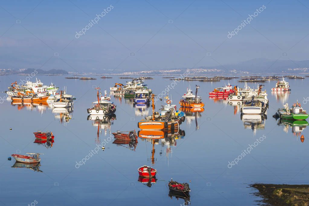 arousa