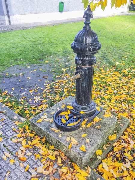 Water fountais in autumn — Stock Photo, Image