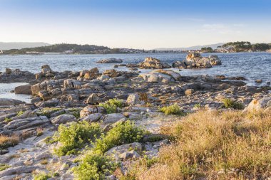 Kumul bitki örtüsü ve kıyı kayalar