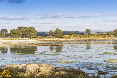 Lameira plaj Arousa Adası