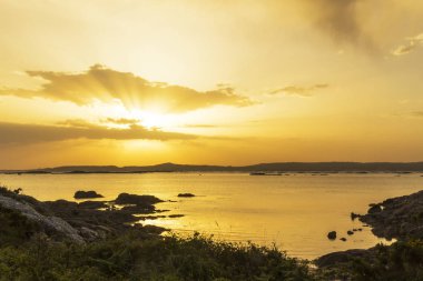 Altın günbatımı güneş ışınları ile