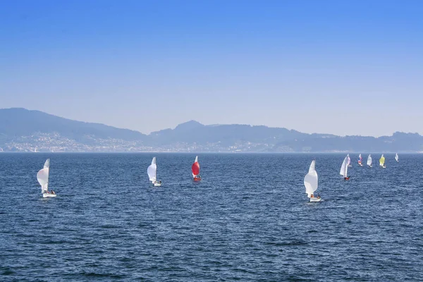 Zeilboten race — Stockfoto