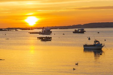 Tekneler ve gün batımında ördekler