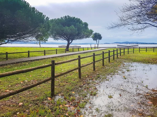 Estanque Lluvia Parque Bao Arousa Islan Otoño — Foto de Stock