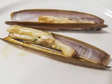 Porselen tabakta servis edilen iki ızgara jilet yumuşakçası.