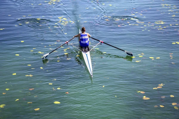 A Young single scull rowing competitor paddles on the tranquil l — Stock Photo, Image