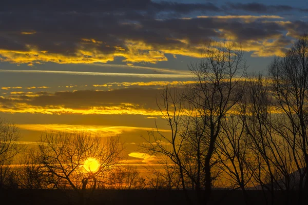 Landschaft dramatischer Sonnenuntergang und Sonnenaufgang Himmel mit einer Silhouette von t — Stockfoto