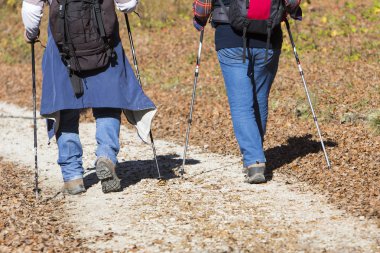 İki yaşlı erkekler tarafından hiking Trail yürüyüş