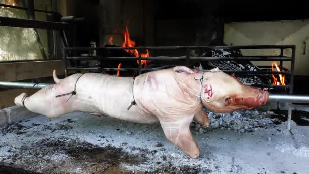 Обжарка сосущей свиньи на шампуре для барбекю — стоковое видео