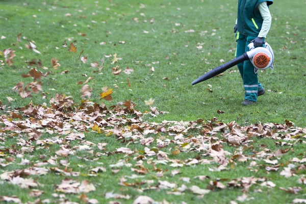 Trabajador en el parque en otoño recoge hojas con soplador de hojas — Foto de Stock