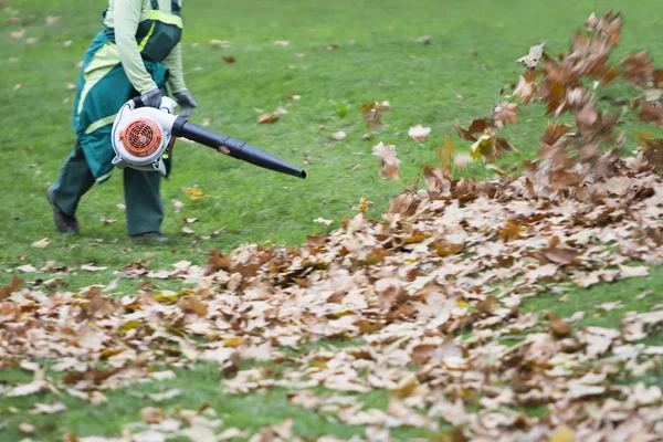 Lavoratore nel parco in autunno raccoglie foglie con soffiatore di foglie — Foto Stock