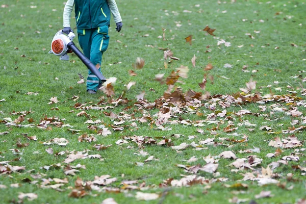 Trabajador en el parque en otoño recoge hojas con soplador de hojas — Foto de Stock
