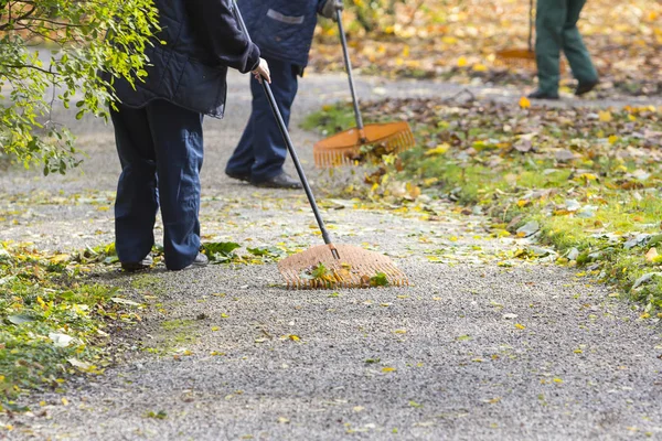 Perempuan Gardener menyapu daun jatuh di taman kota — Stok Foto