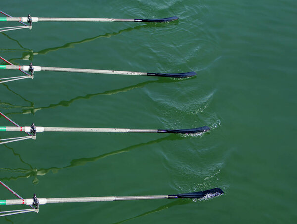 Close up oars of quadruple skulls rowing team race