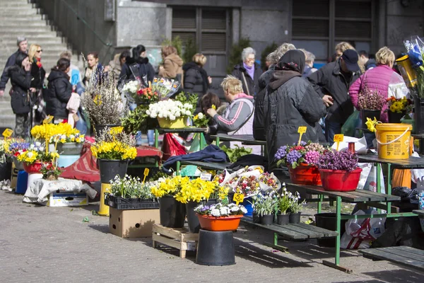 Splavnica, ünlü çiçek pazarı, Zagreb — Stok fotoğraf