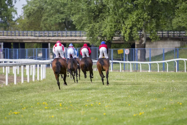 Rasy koni i jeźdźców podczas wyścigu — Zdjęcie stockowe
