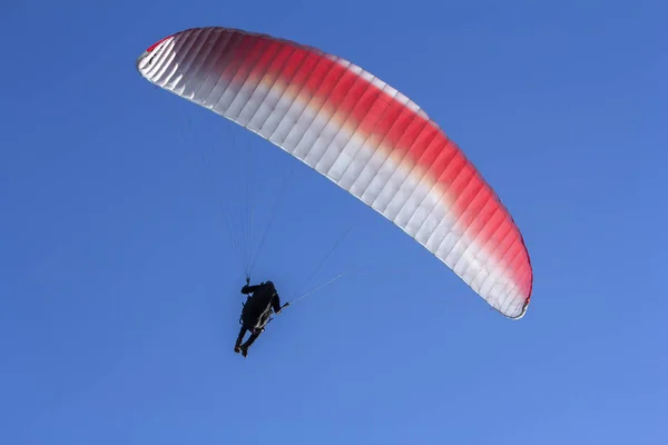 Paraglider terbang di langit biru sebagai latar belakang — Stok Foto