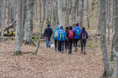 Bir grup genç insan izi hiking tarafından yürüyüş