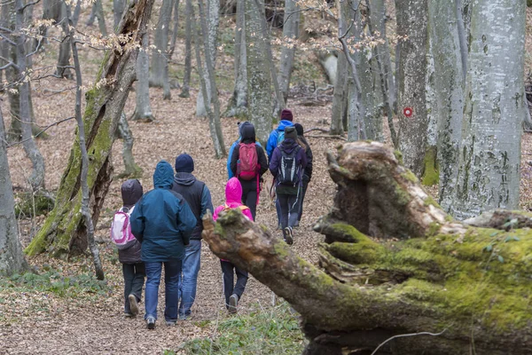 Group of young people walking by hiking trail