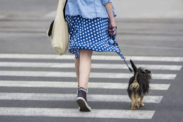 Mujer joven con perro paseando en la ciudad — Foto de Stock