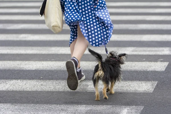 Mujer joven con perro paseando en la ciudad — Foto de Stock