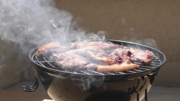 Mixed meat pork and chicken baked on a barbecue — Stock Video