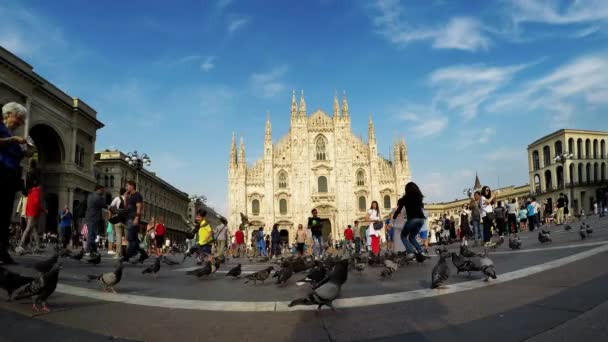 Toeristische wandelen in de buurt van Milaan kathedraal Duomo Milano, 4k video — Stockvideo