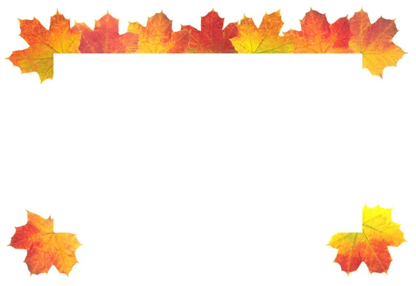 Autumn Leaves as frame on white background — Stock Photo, Image