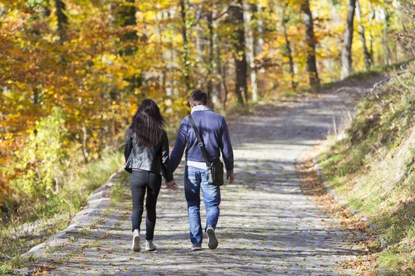 Young couple walking in a park in autumn forest Stock Picture