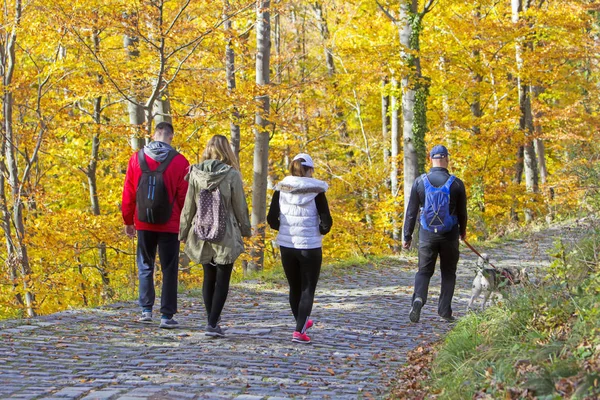 Zwei junge Paare mit Hund spazieren in einem Park im Herbstwald — Stockfoto