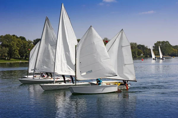 Esportes navegando em lotes de pequenos barcos brancos no lago — Fotografia de Stock