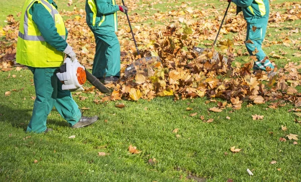 Trabajadores limpiando hojas caídas de otoño con un soplador de hojas — Foto de Stock