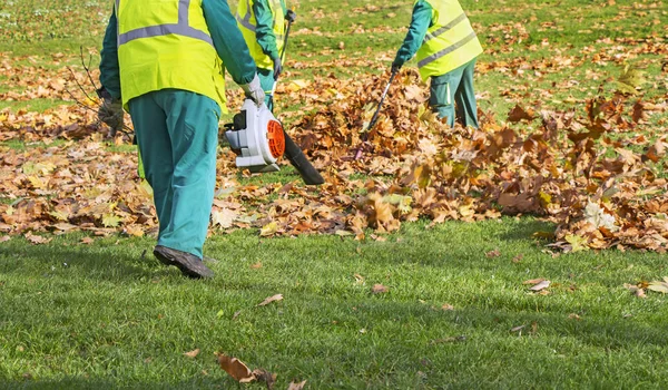 Trabajadores limpiando hojas caídas de otoño con un soplador de hojas — Foto de Stock