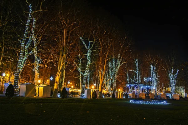 Zrinjevac 公园装饰圣诞灯作为出现的一部分, 我 — 图库照片