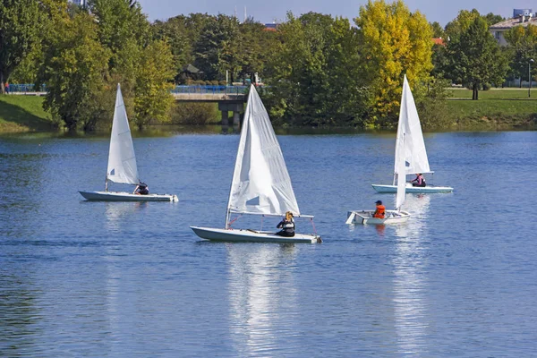 Regatta sailing of small boats on the lake — Stock Photo, Image