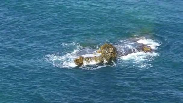 Las Olas Del Mar Chocando Contra Arrecife Video — Vídeo de stock