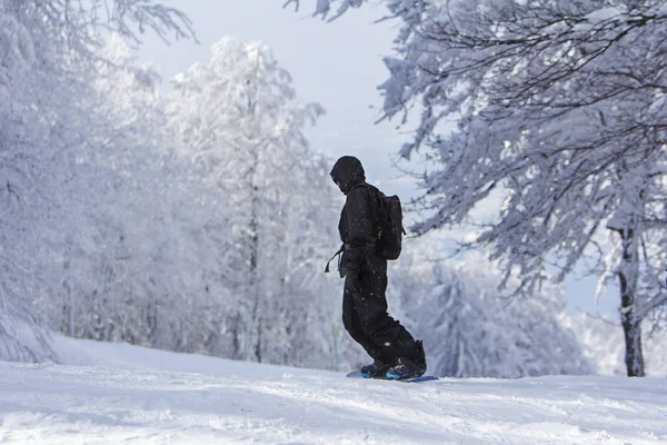 冬季运动滑雪板滑雪 slopeand 阿尔卑斯山景观意蕴 — 图库照片
