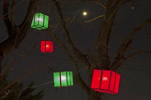 Papierowe latarnie na drzewach jako piękna dekoracja — Zdjęcie stockowe