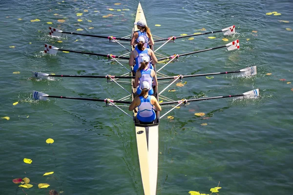 Quadrupla squadra di canottaggio femminile sul lago verde — Foto Stock