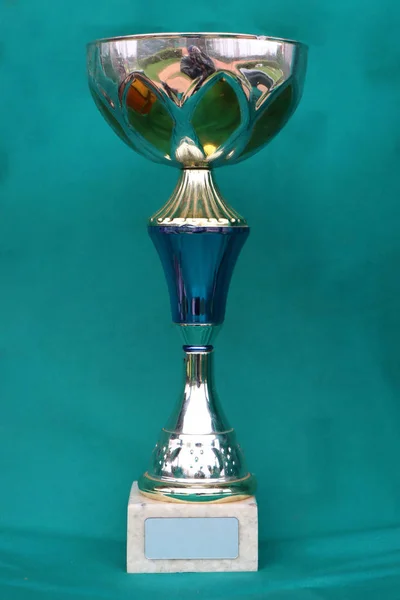 Champion cup with reflection on green background